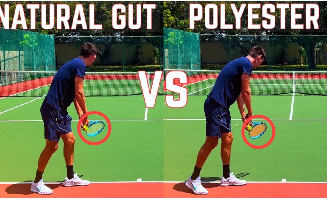 Natural Gut vs Polyester | Tennis String Comparison