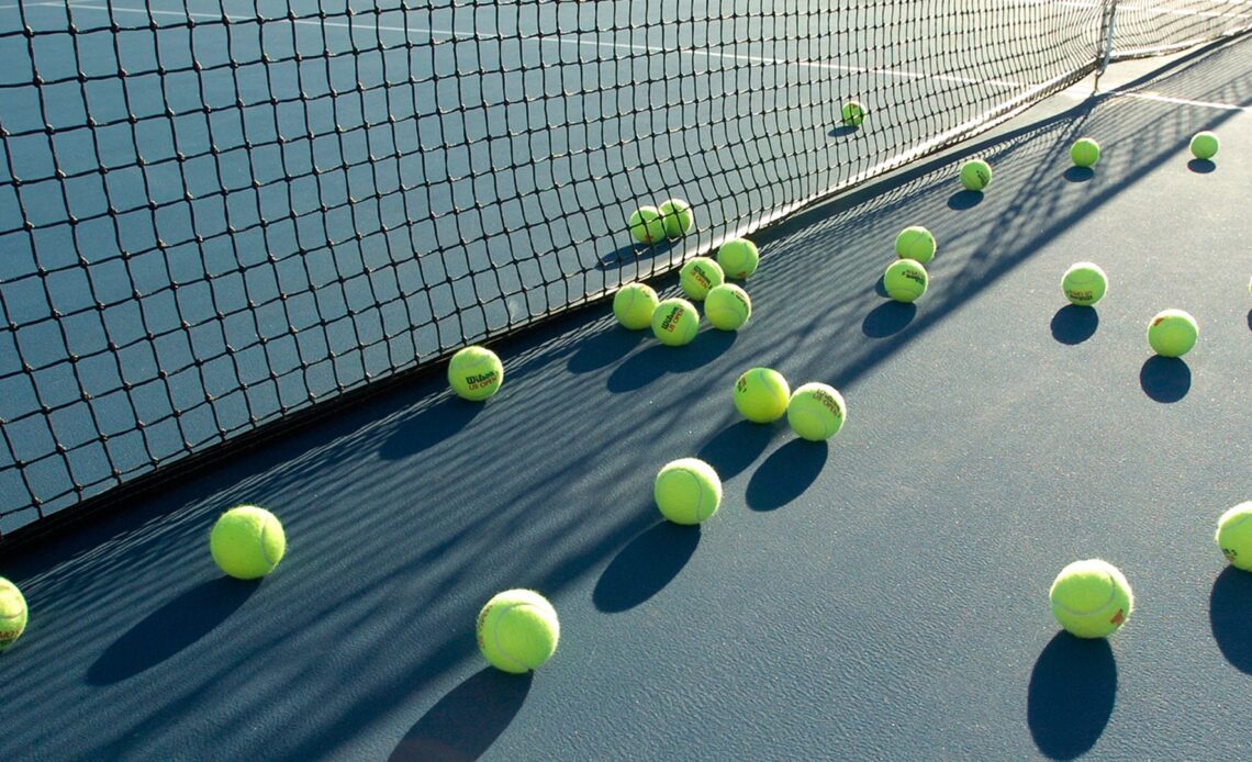 Tennis net and balls