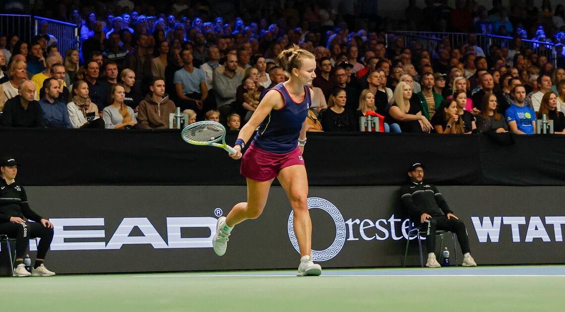 Tallinn: Krejcikova's key points from her victory in the final