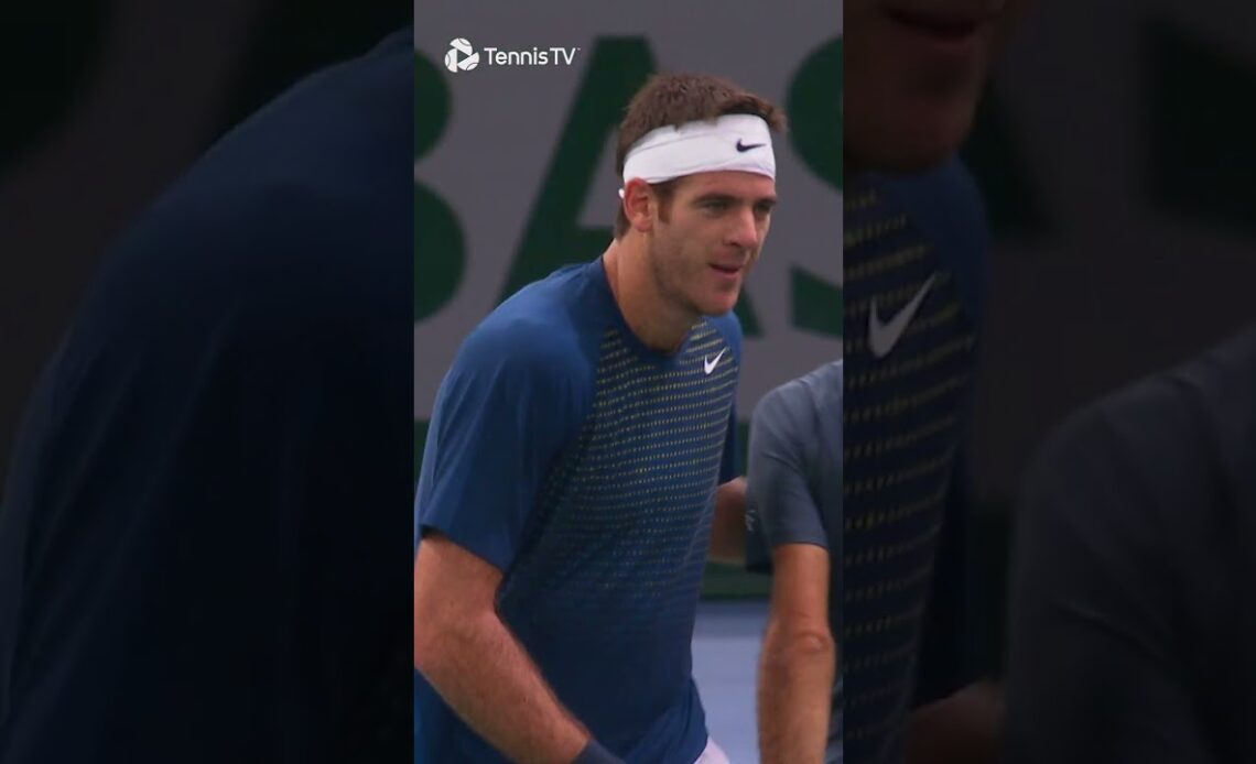 Tennis Or Hurdles?! 😂 A Fun Point Between Federer & Del Potro!