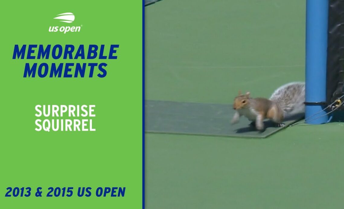 Squirrels Stop Play at the US Open! us