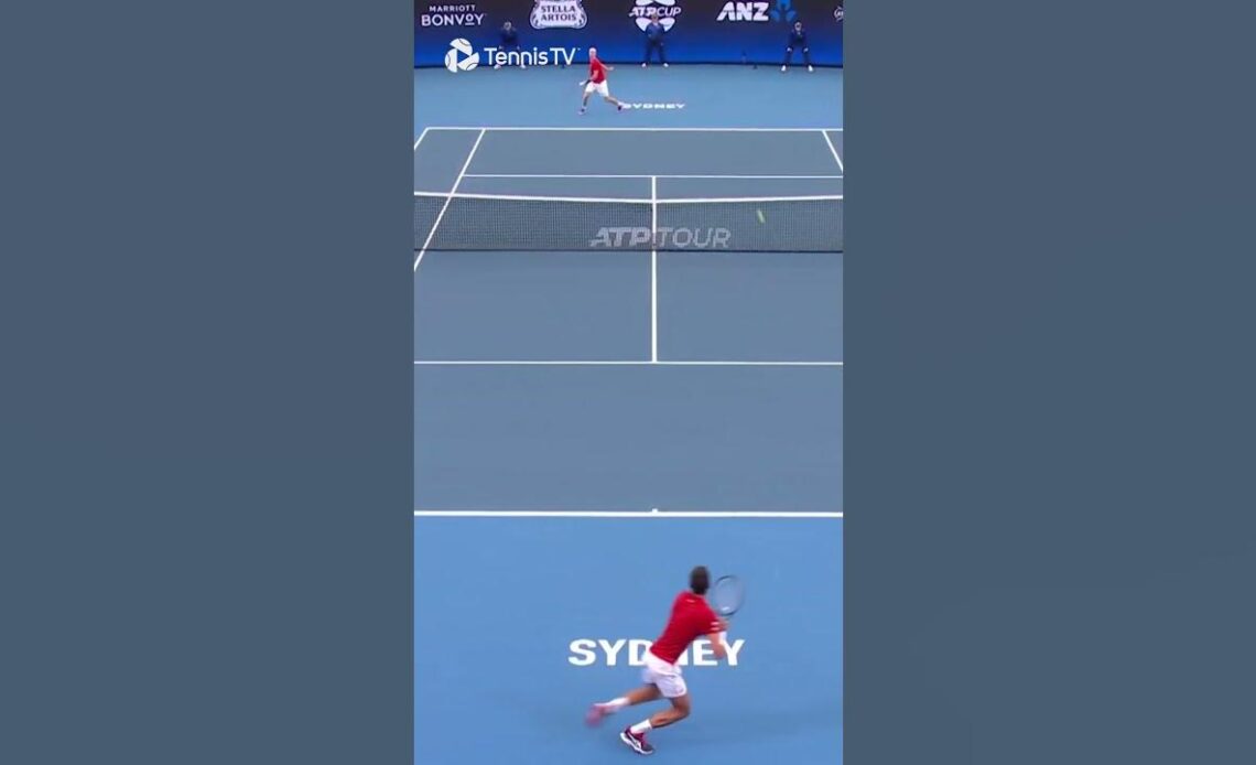 Genius Shapovalov Drop Shot vs Djokovic 👀