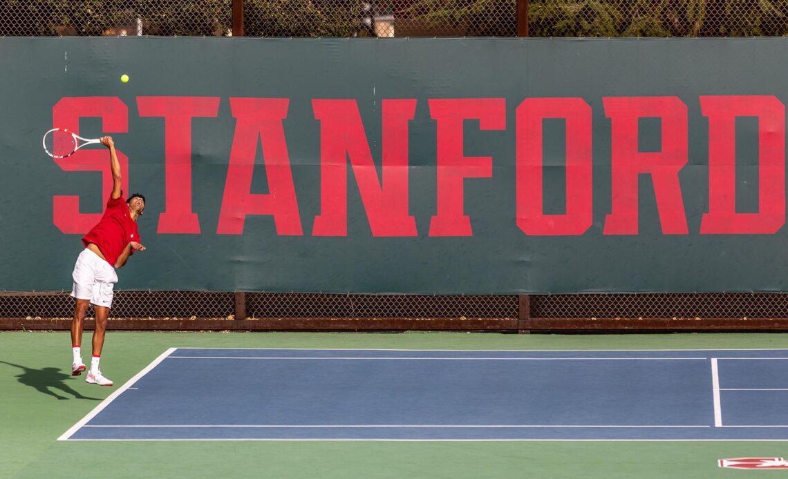 Cardinal Stings Hornets - Stanford University Athletics