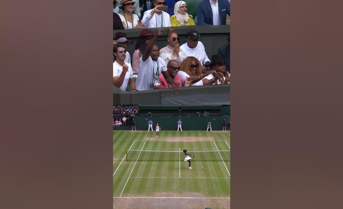 Beyonce and Jay-Z react to Serena Williams' 2016 Wimbledon title