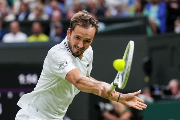 Daniil Medvedev, Nick Kyrgios out of Citi Open with injuries
