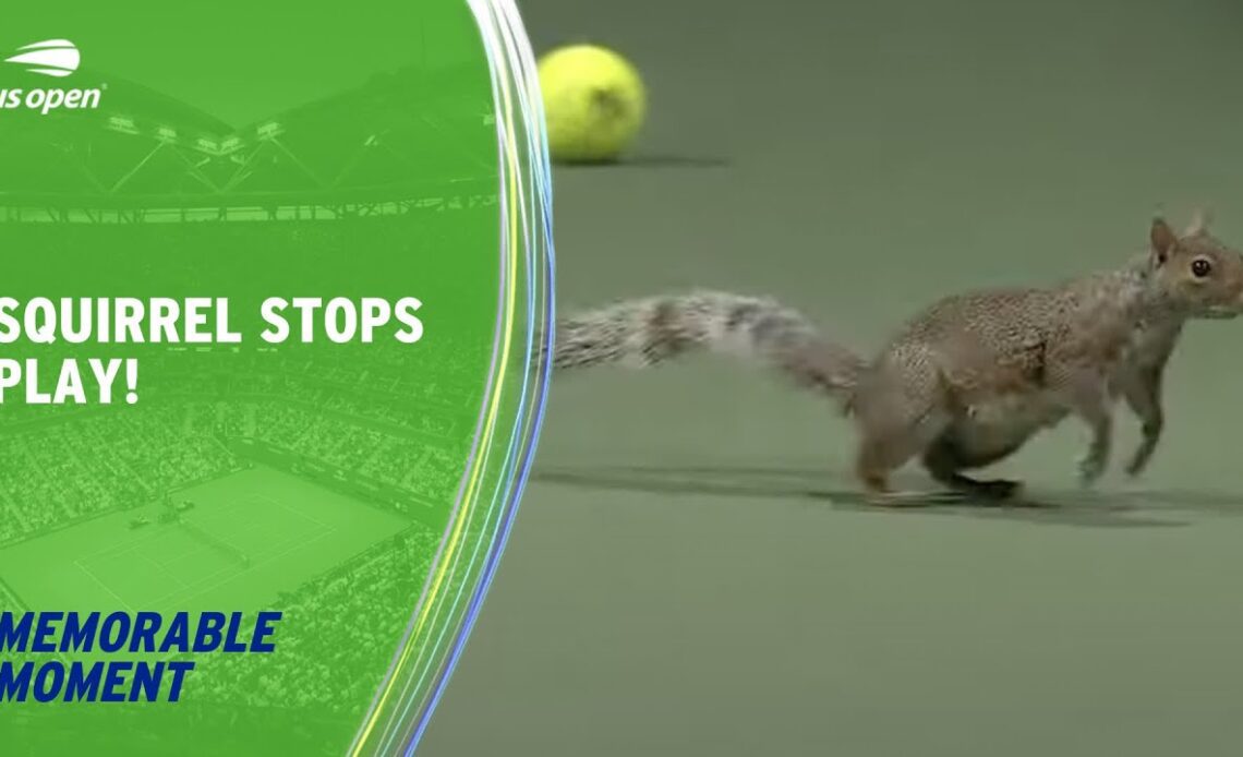 Squirrel Stops Play! | 2023 US Open