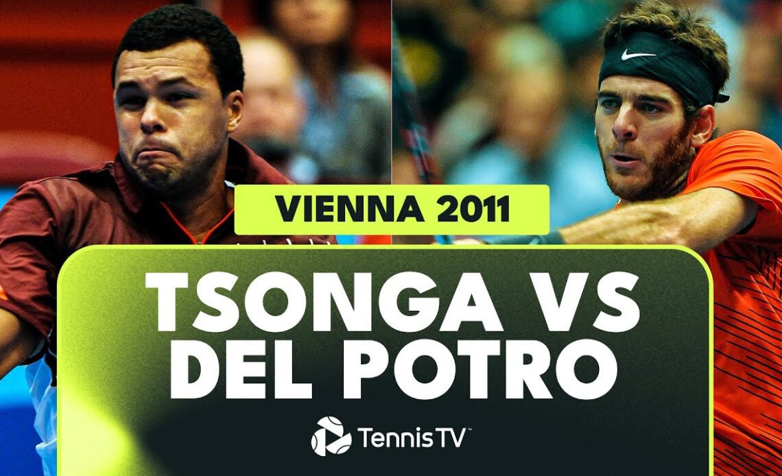 Juan Martin Del Potro vs Jo-Wilfried Tsonga | Vienna 2011 Final Highlights