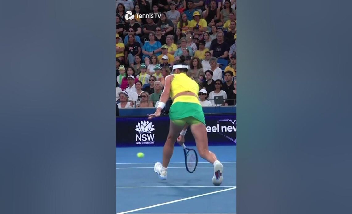 Ajla Tomljanovic With One Of The CLEANEST Volleys You'll Ever See 😮‍💨