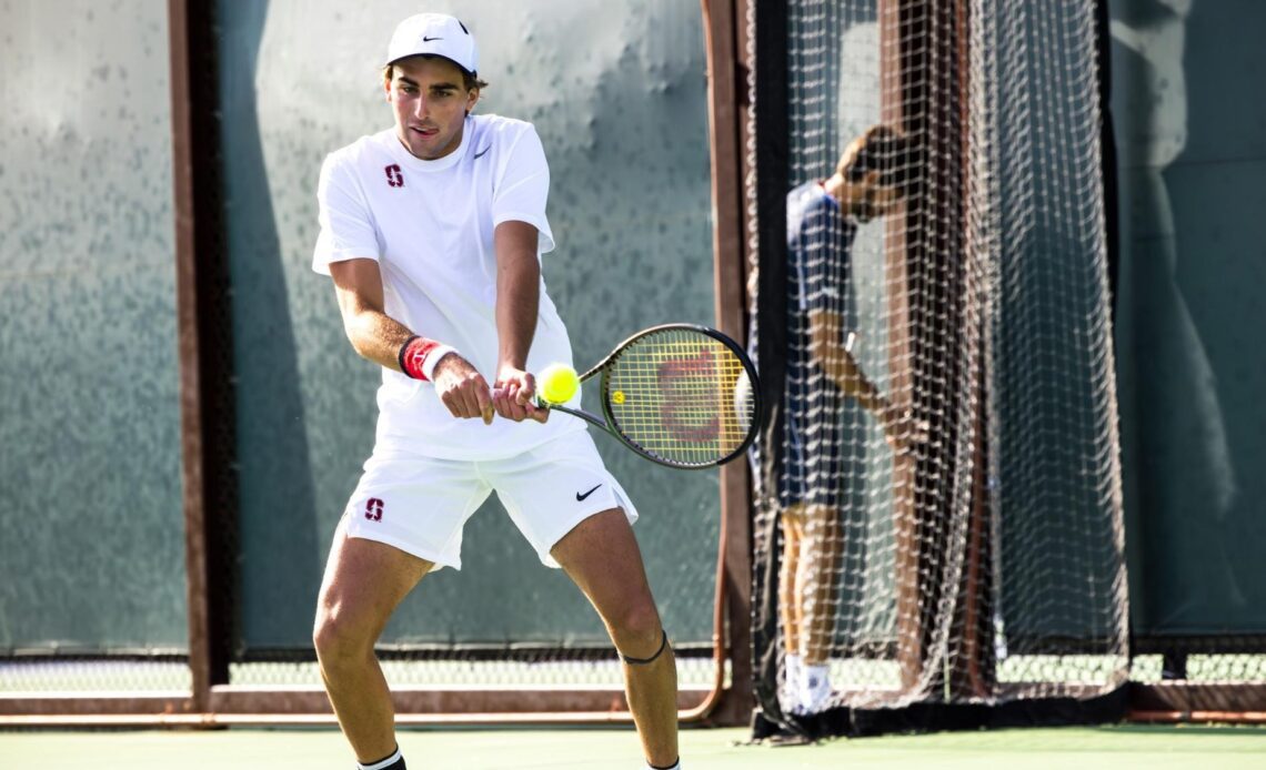 Three Straight, Fourth Shutout - Stanford University Athletics