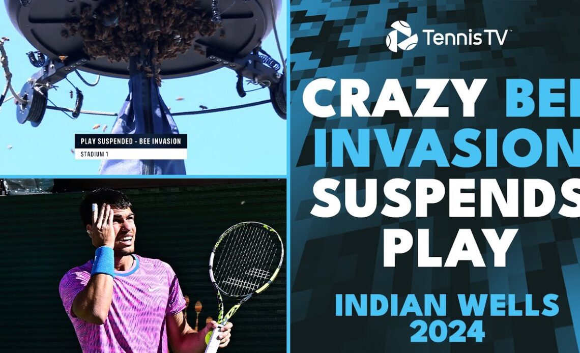 The Most BEE-ZARRE Thing You'll Ever See!! 🐝 | Indian Wells 2024