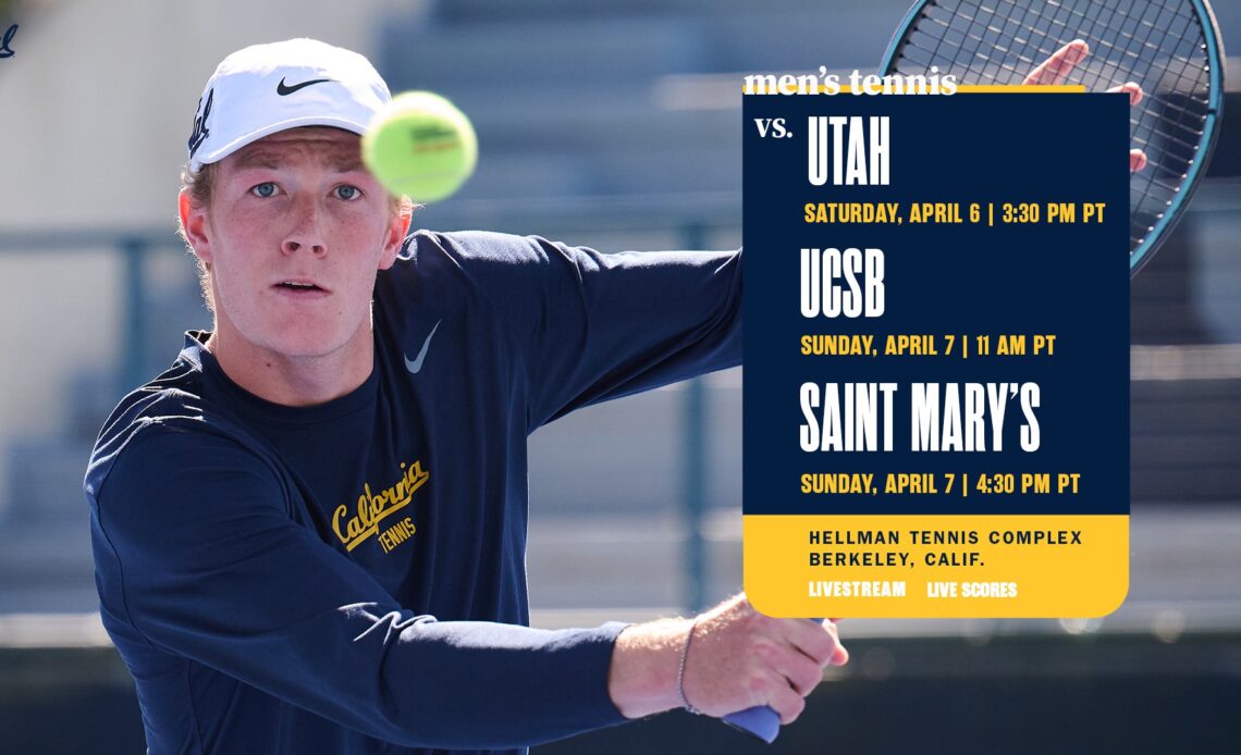 Bears Welcome Utes, Gauchos, Gaels To Hellman