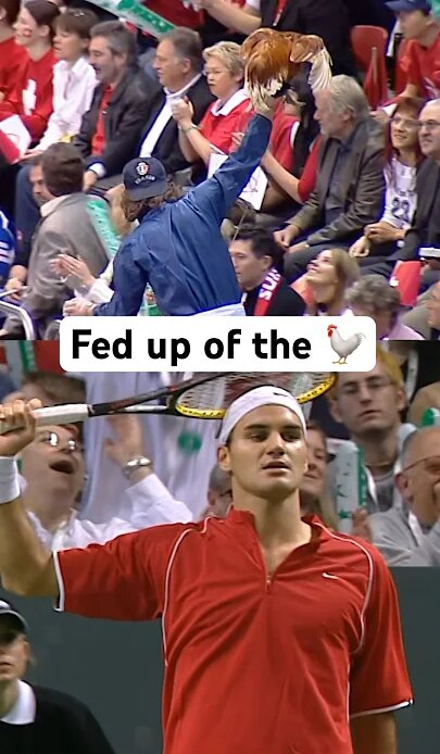 Federer had enough of this cockerel in the stands 🤣 #shorts #roger #funny